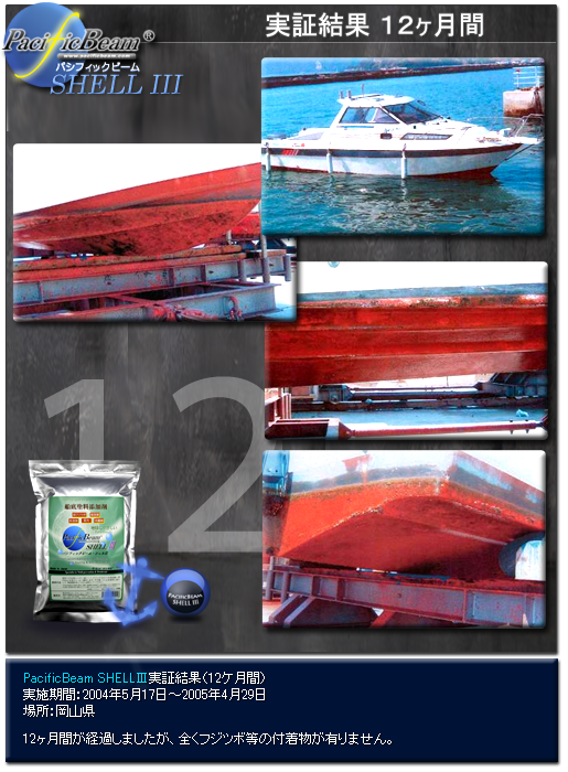 PacificBeam SHELL3　実験結果１２ヶ月