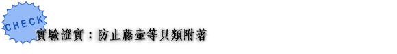 実証実験：PacificBeam SHELLⅢのフジツボや貝類の付着物を防止